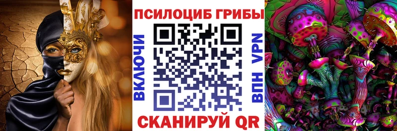 закладки  Барабинск  Галлюциногенные грибы MAGIC MUSHROOMS 