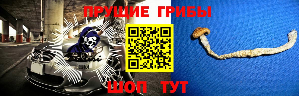 Барабинск  Псилоцибиновые грибы Magic Shrooms  Вход с VPN 