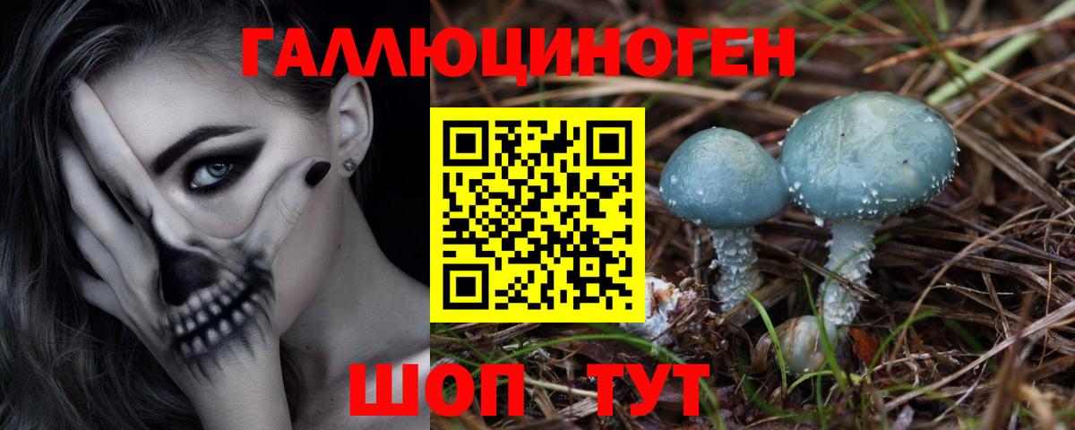 Псилоцибиновые грибы Psilocybine cubensis Барабинск